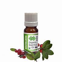 Image result for Wintergreen Essential Oil