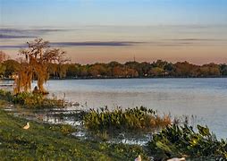 Image result for Where Is Leesburg Florida