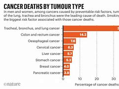 Image result for Half cancer preventable