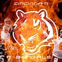 Image result for Cincinnati Bengals Background Images