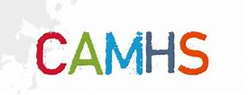Image result for camhs