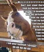 Image result for Funny Wild Horses