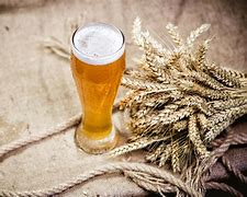 Image result for Wheat Grain Beer