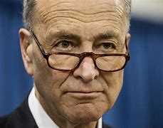 Image result for Chuck Schumer Profile