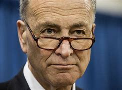 Image result for Pictures of Chuck Schumer