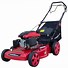 Image result for Self Propelled Lawn Mowers