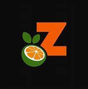 Image result for Orange Z Logo