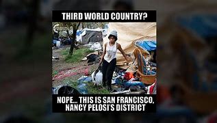 Image result for Nancy Pelosi's District San Francisco