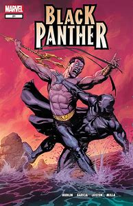 Image result for Black Panther Battle in Comics