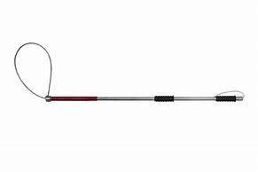 Image result for Snare Pole