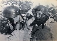 Image result for Waffen SS Cavalry