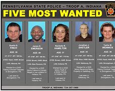Image result for 10 Most Wanted Police