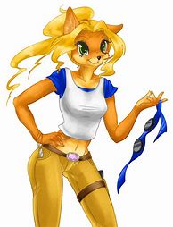 Image result for Coco Bandicoot Art