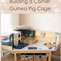 Image result for homemade guinea pigs cages