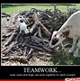 Image result for teamwork quotes funny