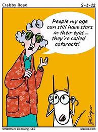 Image result for Maxine On Aging