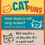 Image result for Funny Cat Puns