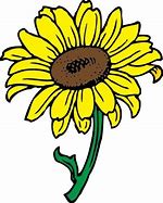 Image result for Kansas Sunflower Clip Art