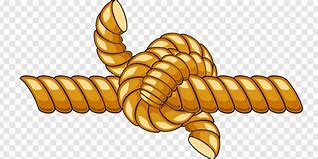 Image result for Cartoon Rope Knot