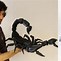 Image result for 3D Print Scorpion Files