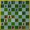 Image result for Battle Chess Sprites