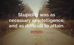 Image result for Stupidity Quotes