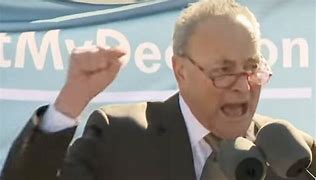 Image result for Schumer Snatched
