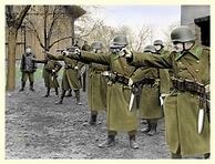 Image result for Hungarian Infantry WW2