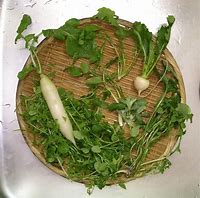 Image result for Herbs De Provence Cheese