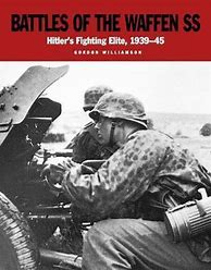 Image result for Waffen SS in Combat Book
