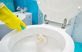 Image result for WC Toilet