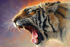 Image result for Cool Tiger Background Wallpapers