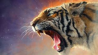 Image result for Fierce Tiger Wallpaper