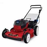 Image result for Push Lawn Mowers at Home Depot