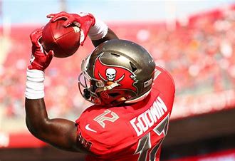 Image result for bucs football images