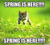 Image result for Funny Spring Pics