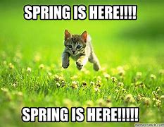 Image result for Spring Funnies