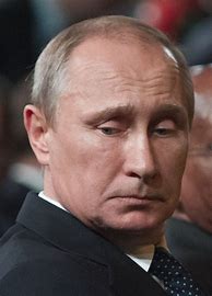 Image result for Putin Visiting Ukraine