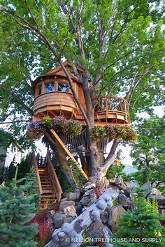 #treehousefriday: Mindbending Silver Maple Treehouse - Nelson Treehouse