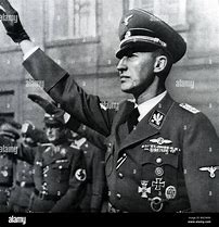 Image result for Reinhard Heydrich Face