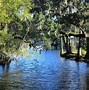 Image result for Kissimmee Florida