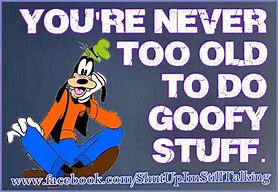 Image result for Goofy Quotes