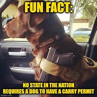 Image result for Funny Permit