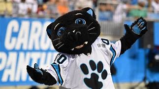 Image result for Carolina Panthers Mascot