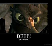 Image result for Toothless Dragon Funny
