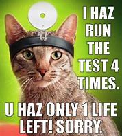 Image result for Best Life Funny