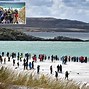Image result for Falklands War Dead