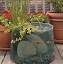 Image result for Koi Fish Pond Painting