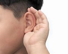 Image result for Ear Hearing Sound