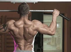 Image result for Free Standing Pull Up Bars for Home